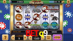 Statistics betq9